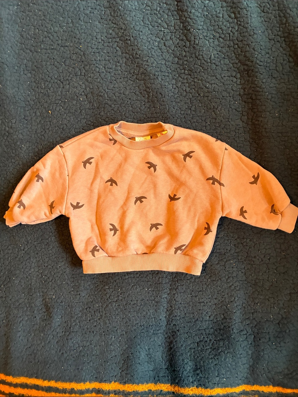 Zara brown Sweatshirt with Bird Print